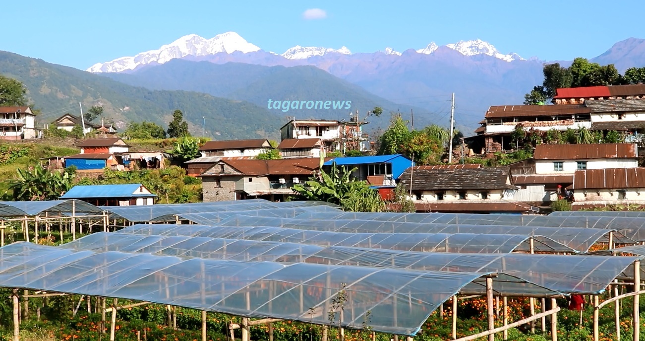 भलामचौरमा ‘फार्मस्टे’